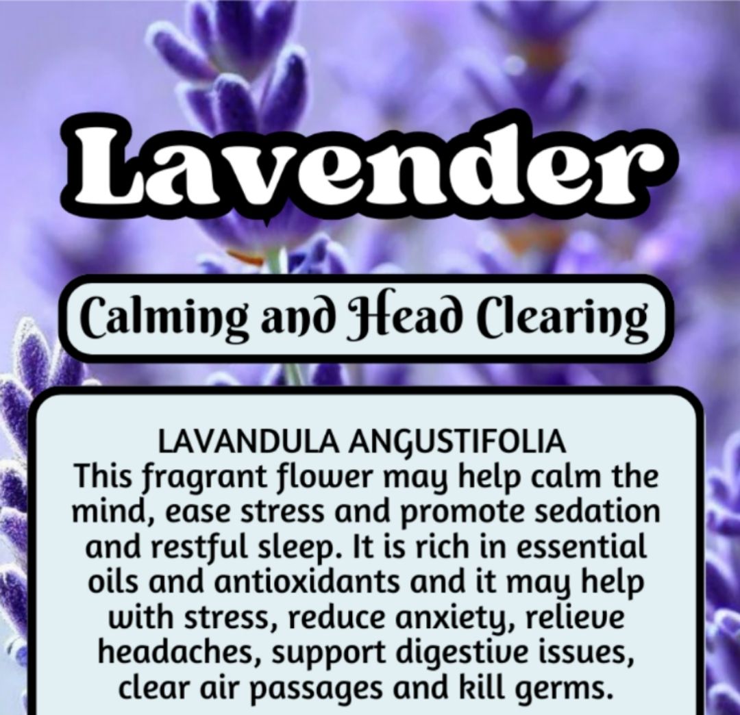 Lavender