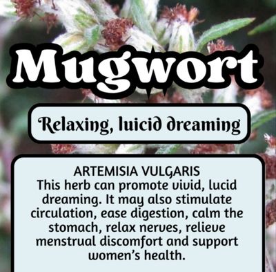 Mugwort