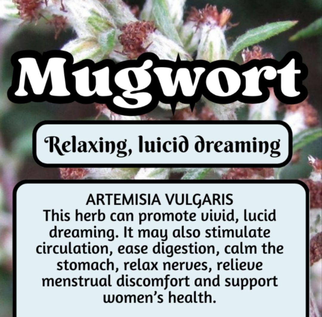 Mugwort