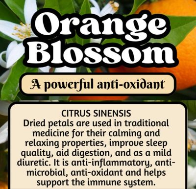 Orange Blossom