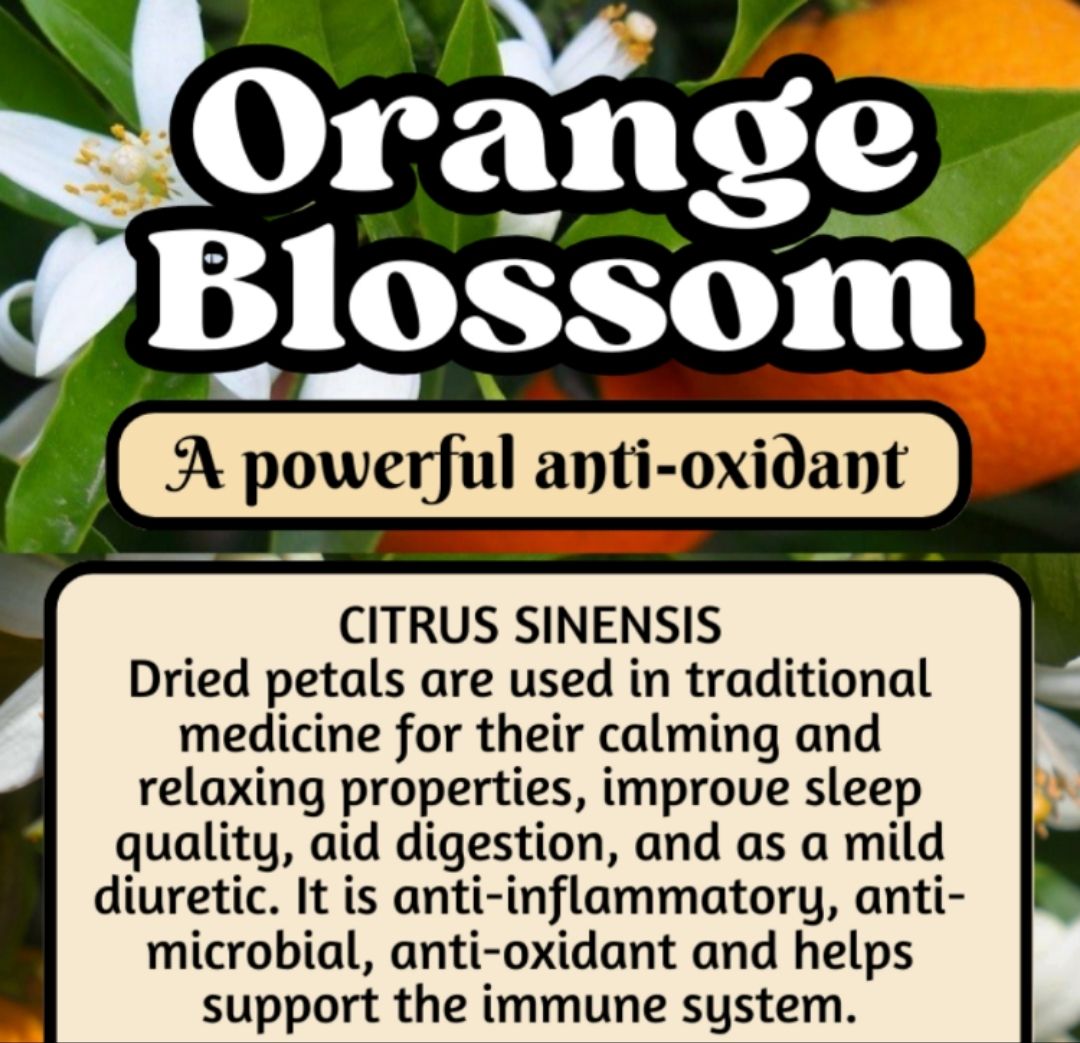 Orange Blossom