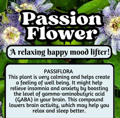 Passion Flower