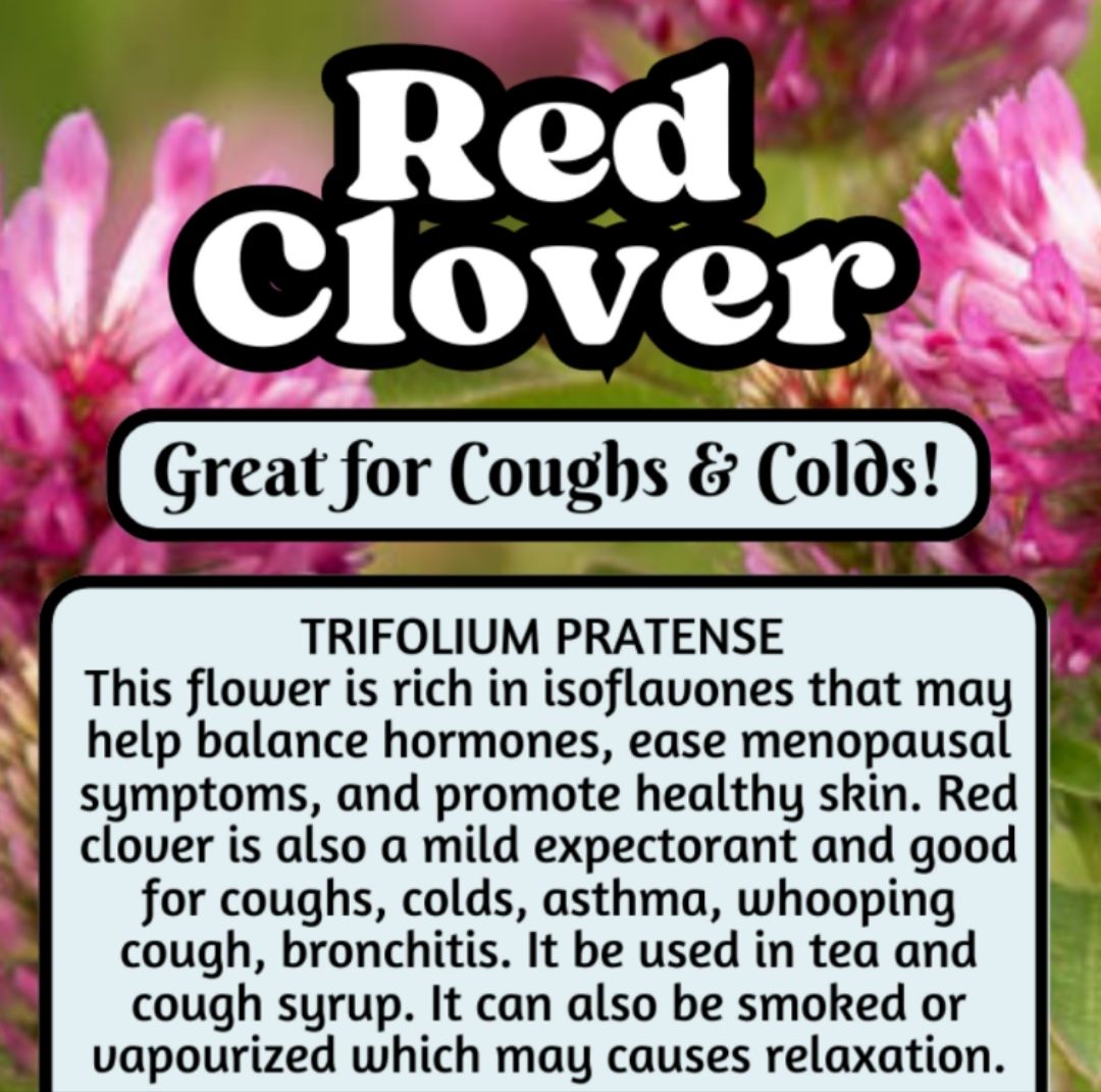 Red Clover