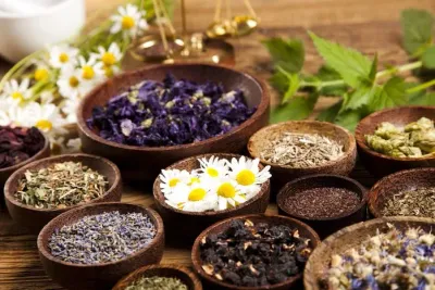 Herbs