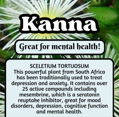 Kanna