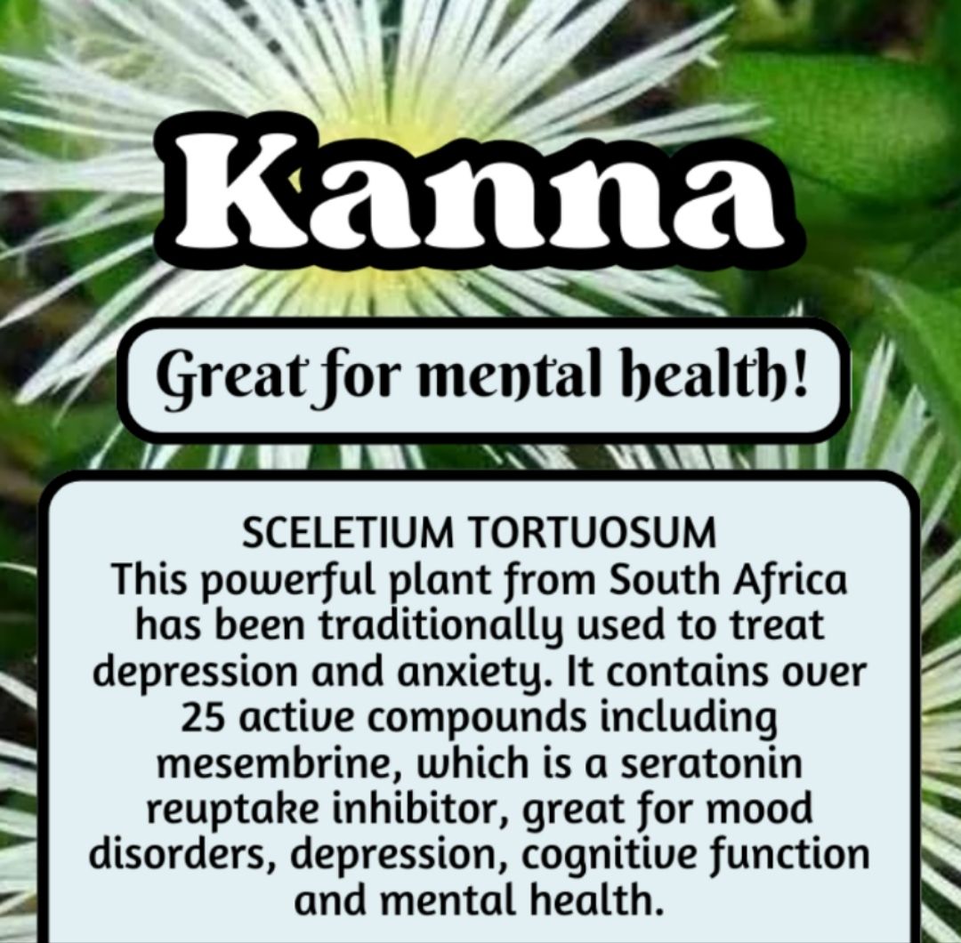 Kanna