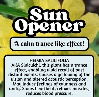 Sun Opener
