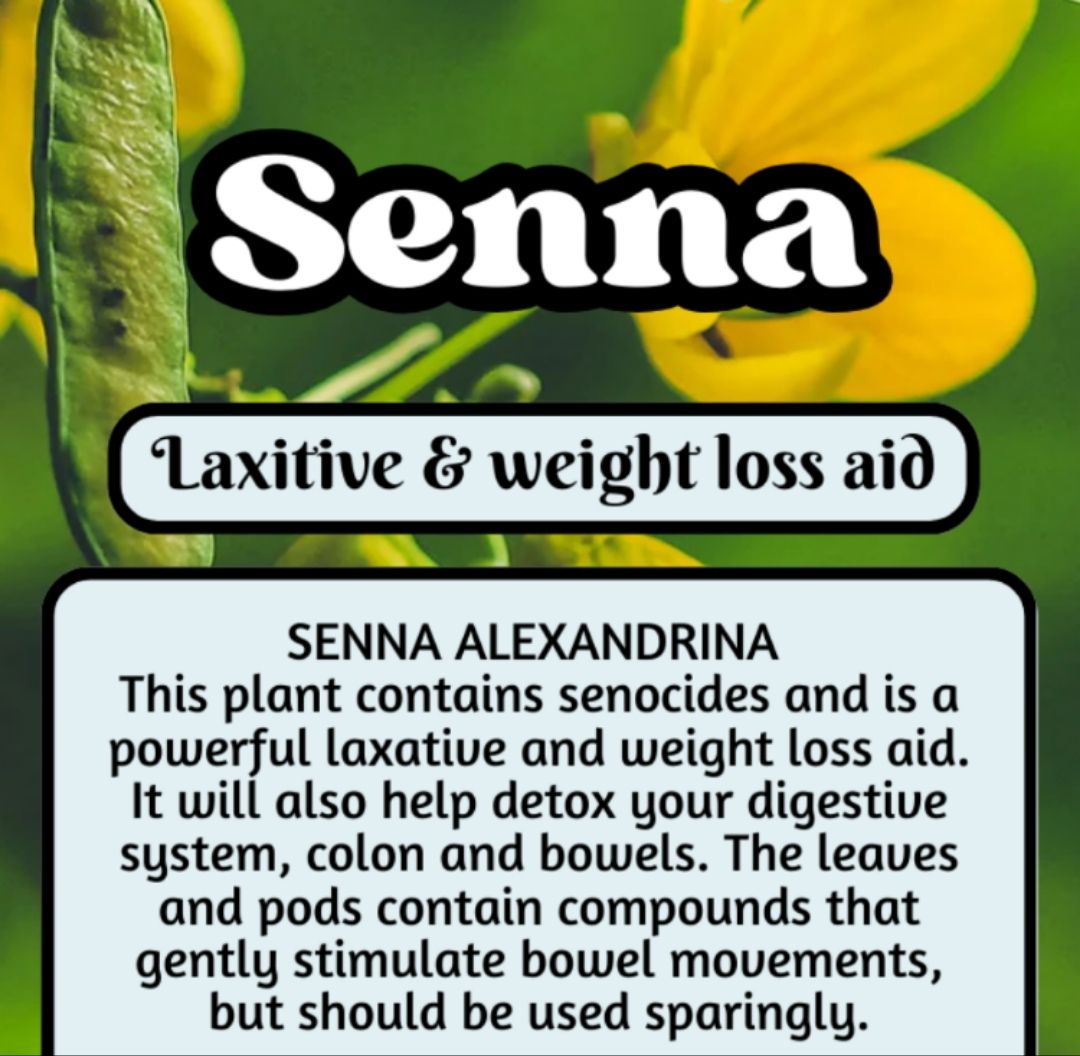 Senna Pods