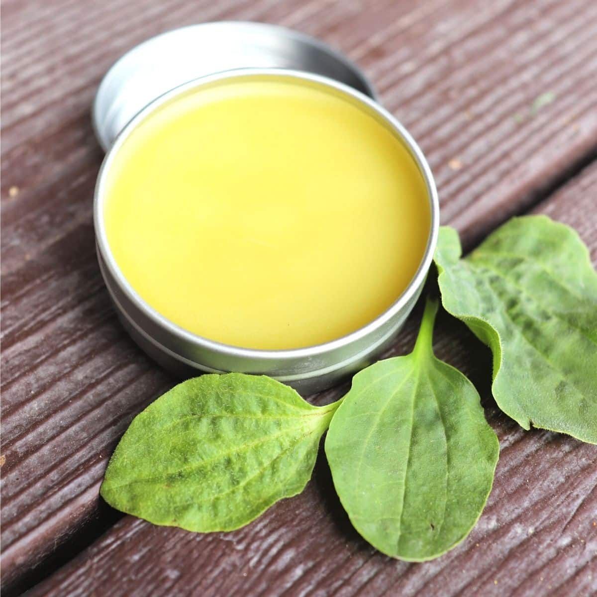 Healing Balms &amp; Rubs