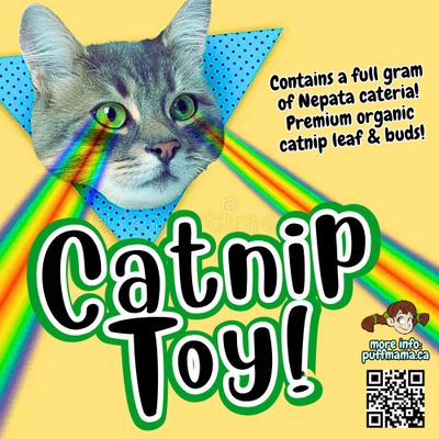 Catnip Toy