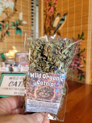 Catnip