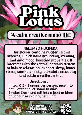 Pink Lotus
