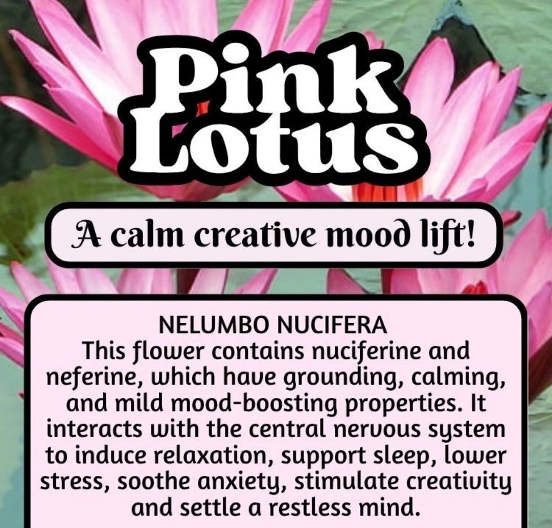 Pink Lotus