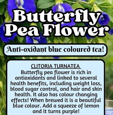 Butterfly Pea Flower