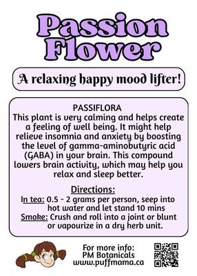 Sampler Pack - Herbs For Anxiety/Depression