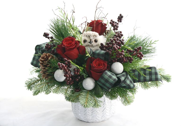 Owl Be Home For Christmas