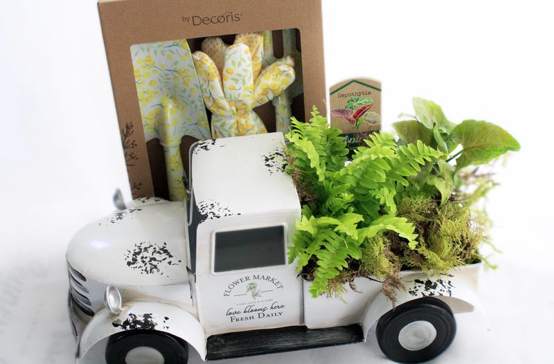 Plant-Lover Gift Set