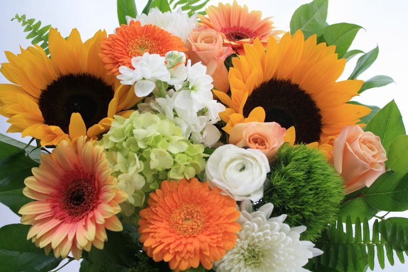 Citrus Slice Cut Bouquet