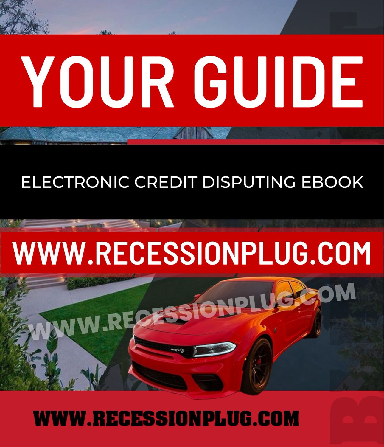 ELECTRONIC CREDIT DISPUTING EBOOK