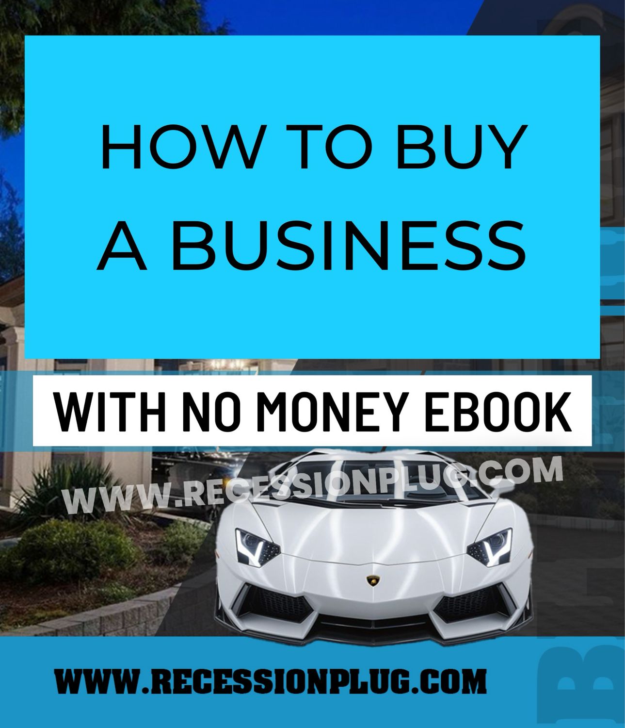 HOW TO BUY A BUSINESS WITH NO MONEY EBOOK