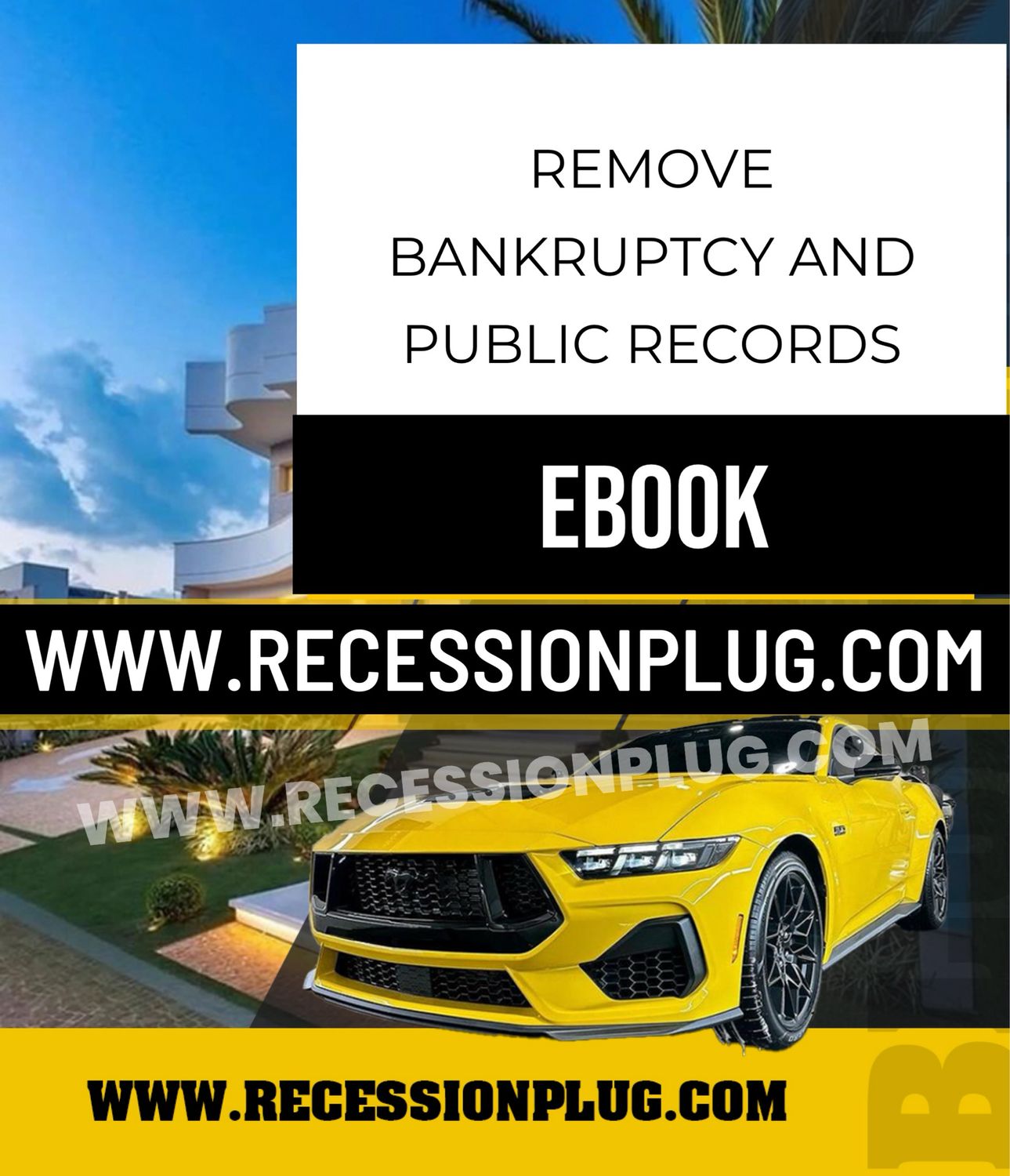 REMOVE BANKRUPTCY AND PUBLIC RECORDS EBOOK