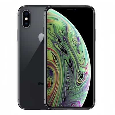 IPhone XS Max 64 Go Gris Sidéral