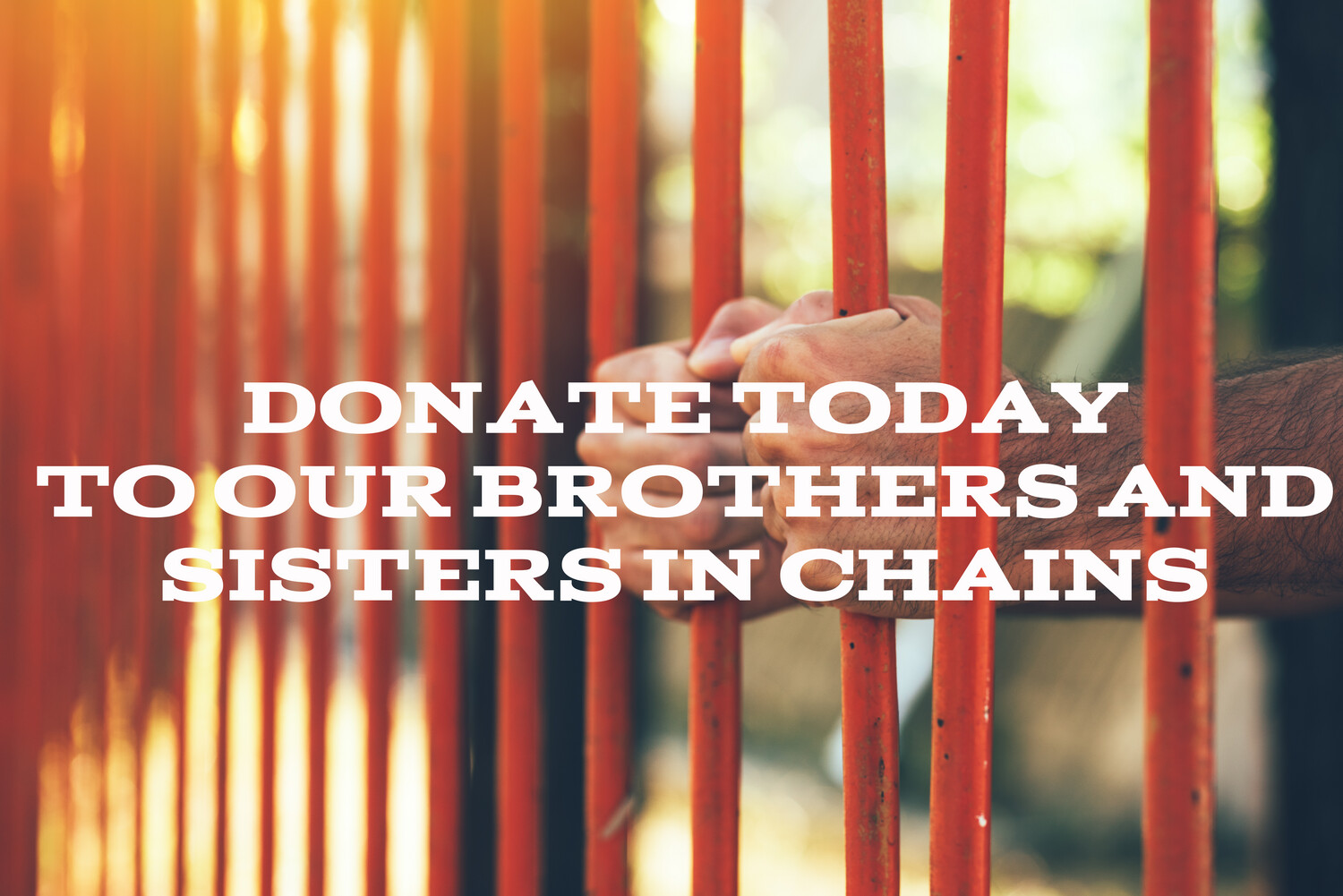 Donations for Prisoner Scriptures