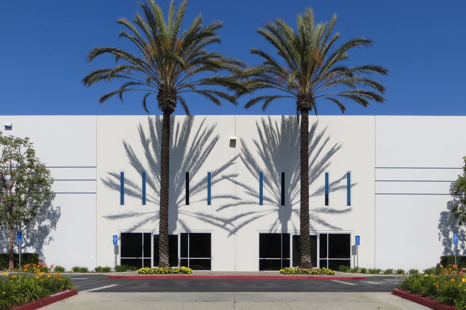 Twin Palms