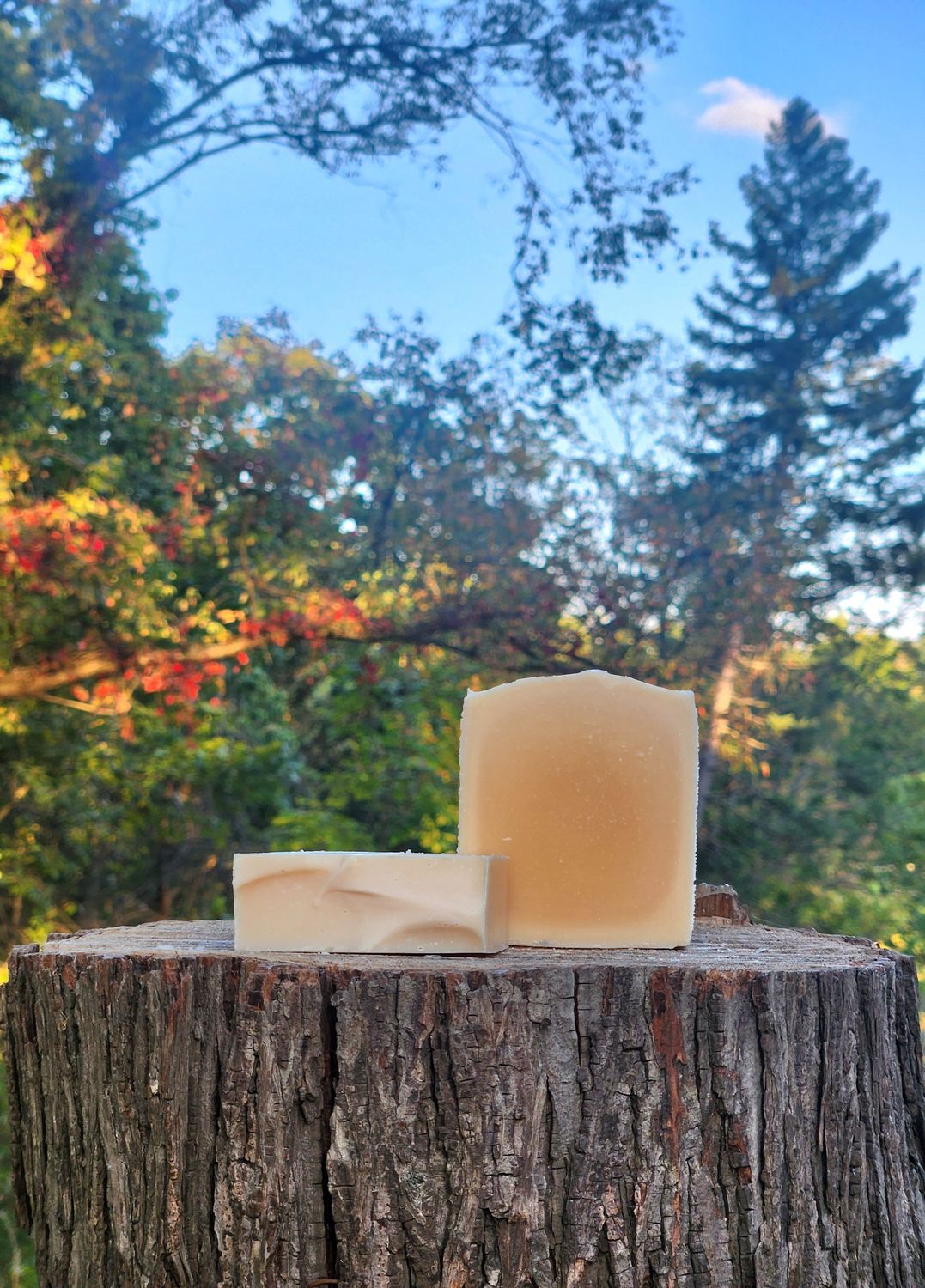 Citrus Bliss - Artisan Soap