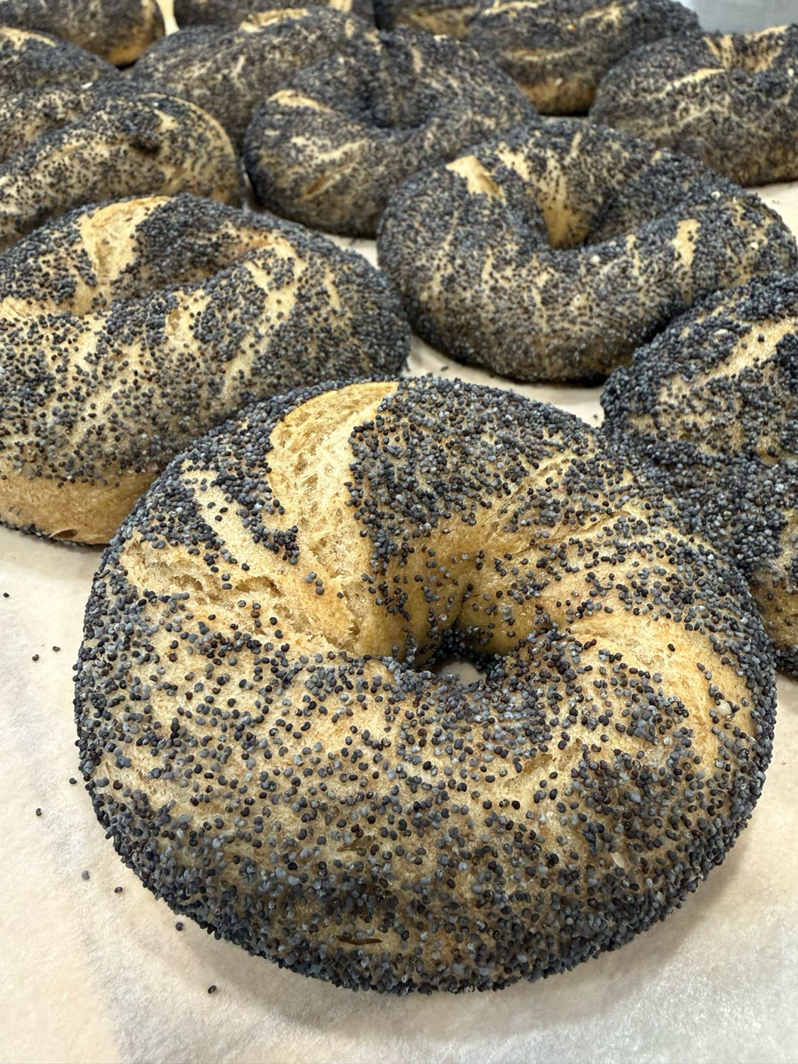 Montreal-Style Einkorn Bagels