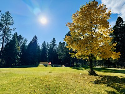 FALL- Season Pass