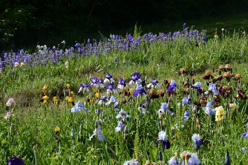 NEW this year/Nuovo quest'anno