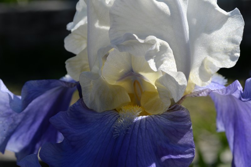 Prizewinners/Premiato