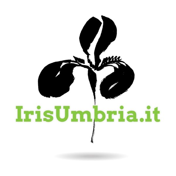 IrisUmbria Online Store