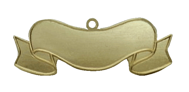 3832011G - Textspange 3,5 cm