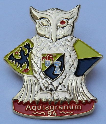 Vereinspin 021