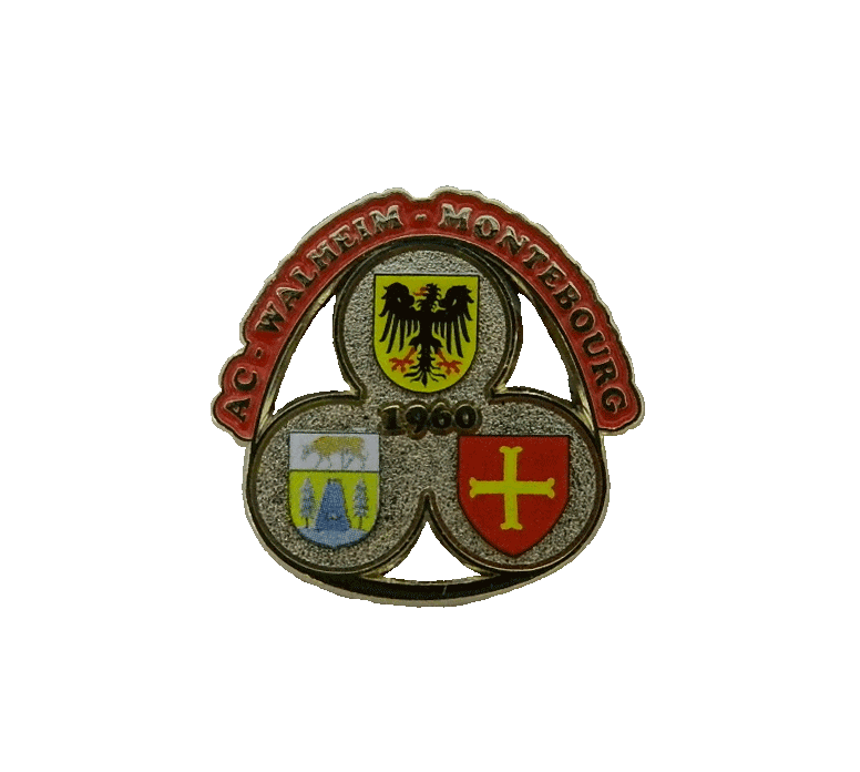 Vereinspin 015