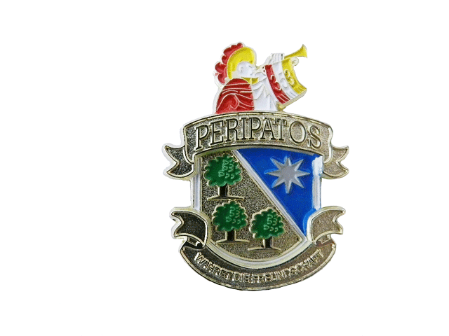 Vereinspin 131