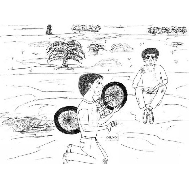 BOOK 57 CURIOSITY BIKE ACCIDENT