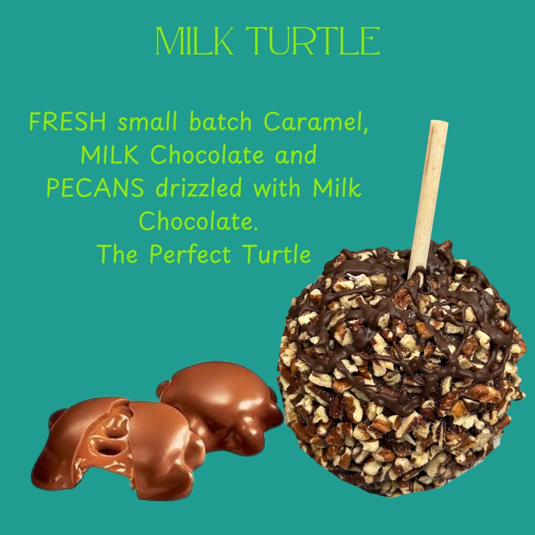 Turtle