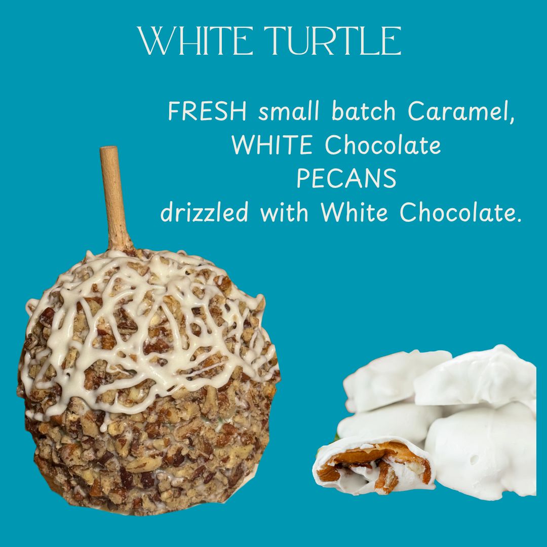 White Chocolate Turtle