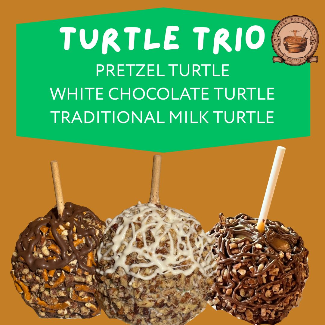 TURTLE 3 PACK