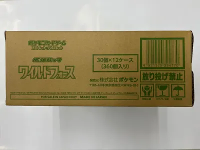 Japanese Cases