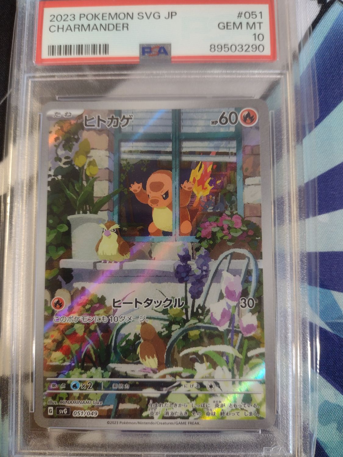 Charmander PSA 10