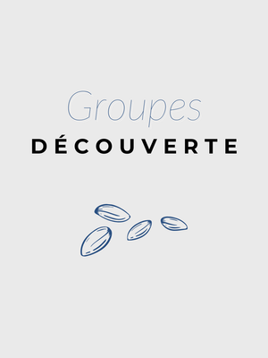 Groupes découverte