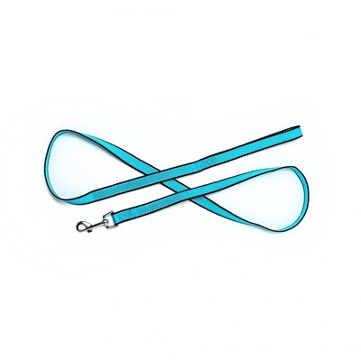 BA Reflective Leash, Color: Aqua, Width: 3/4&quot;