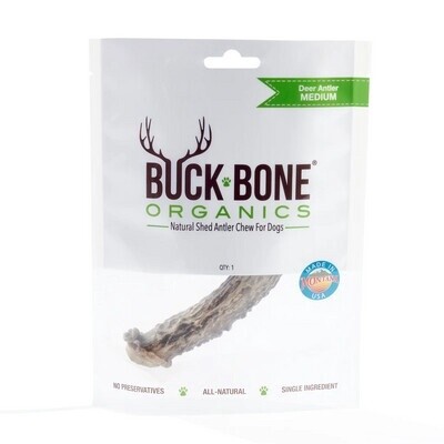 Buck Bone Deer Antler - Whole, Size: M