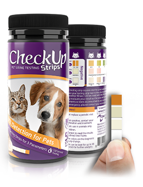 CheckUp Strips - UTI Detection, 50ct