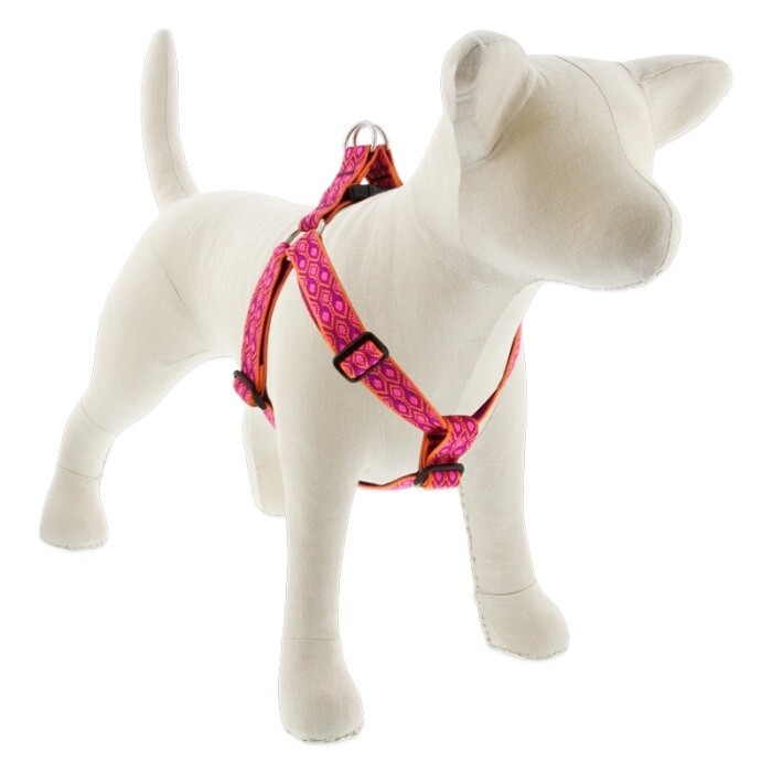 Lupine Originals Harness, Pattern: Alpen Glow, Width: 1", Chest: 19"-28"