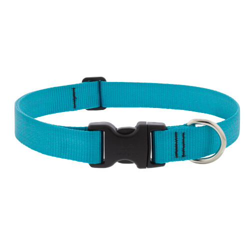 Lupine Basics Collar, Color: Aqua, Width: 1&quot;, Length: 12&quot;-20&quot;